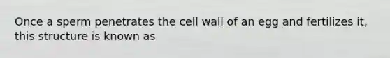 Once a sperm penetrates the cell wall of an egg and fertilizes it, this structure is known as