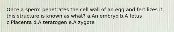 Once a sperm penetrates the cell wall of an egg and fertilizes it, this structure is known as what? a.An embryo b.A fetus c.Placenta d.A teratogen e.A zygote