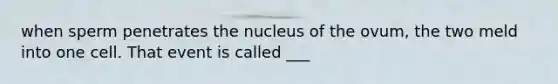 when sperm penetrates the nucleus of the ovum, the two meld into one cell. That event is called ___