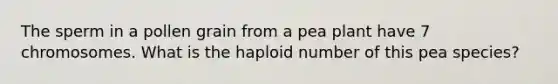 The sperm in a pollen grain from a pea plant have 7 chromosomes. What is the haploid number of this pea species?