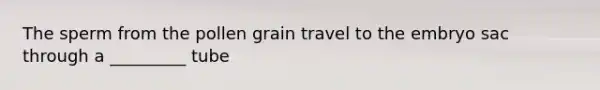 The sperm from the pollen grain travel to the embryo sac through a _________ tube