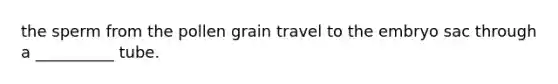 the sperm from the pollen grain travel to the embryo sac through a __________ tube.