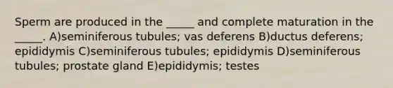 Sperm are produced in the _____ and complete maturation in the _____. A)seminiferous tubules; vas deferens B)ductus deferens; epididymis C)seminiferous tubules; epididymis D)seminiferous tubules; prostate gland E)epididymis; testes