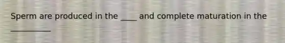 Sperm are produced in the ____ and complete maturation in the __________