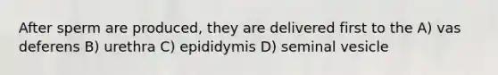 After sperm are produced, they are delivered first to the A) vas deferens B) urethra C) epididymis D) seminal vesicle