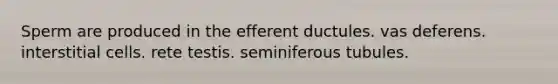 Sperm are produced in the efferent ductules. vas deferens. interstitial cells. rete testis. seminiferous tubules.