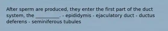 After sperm are produced, they enter the first part of the duct system, the __________. - epididymis - ejaculatory duct - ductus deferens - seminiferous tubules