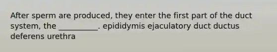 After sperm are produced, they enter the first part of the duct system, the __________. epididymis ejaculatory duct ductus deferens urethra