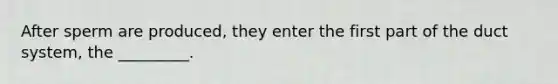 After sperm are produced, they enter the first part of the duct system, the _________.