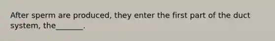 After sperm are produced, they enter the first part of the duct system, the_______.