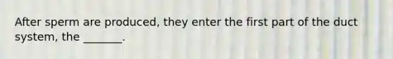 After sperm are produced, they enter the first part of the duct system, the _______.