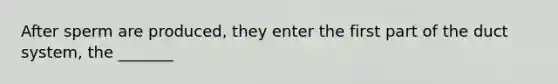 After sperm are produced, they enter the first part of the duct system, the _______