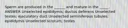 Sperm are produced in the ______ and mature in the _____. ANSWER Unselected epididymis; ductus deferens Unselected testes; ejaculatory duct Unselected seminiferous tubules; epididymis Unselected scrotum; testes