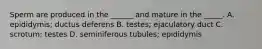 Sperm are produced in the ______ and mature in the _____. A. epididymis; ductus deferens B. testes; ejaculatory duct C. scrotum; testes D. seminiferous tubules; epididymis