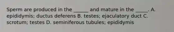 Sperm are produced in the ______ and mature in the _____. A. epididymis; ductus deferens B. testes; ejaculatory duct C. scrotum; testes D. seminiferous tubules; epididymis