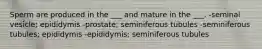 Sperm are produced in the ___ and mature in the ___. -seminal vesicle; epididymis -prostate; seminiferous tubules -seminiferous tubules; epididymis -epididymis; seminiferous tubules