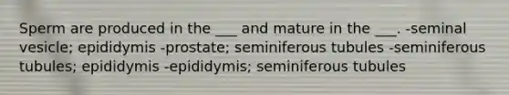 Sperm are produced in the ___ and mature in the ___. -seminal vesicle; epididymis -prostate; seminiferous tubules -seminiferous tubules; epididymis -epididymis; seminiferous tubules