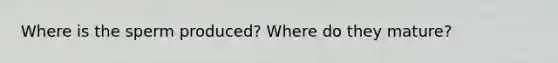 Where is the sperm produced? Where do they mature?