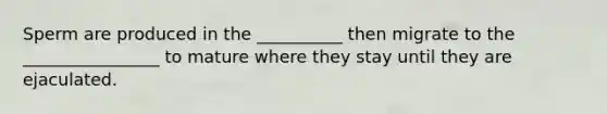 Sperm are produced in the __________ then migrate to the ________________ to mature where they stay until they are ejaculated.