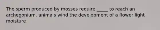 The sperm produced by mosses require _____ to reach an archegonium. animals wind the development of a flower light moisture