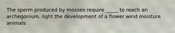 The sperm produced by mosses require _____ to reach an archegonium. light the development of a flower wind moisture animals
