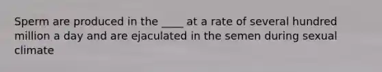 Sperm are produced in the ____ at a rate of several hundred million a day and are ejaculated in the semen during sexual climate