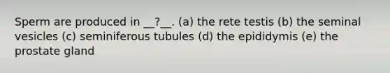 Sperm are produced in __?__. (a) the rete testis (b) the seminal vesicles (c) seminiferous tubules (d) the epididymis (e) the prostate gland