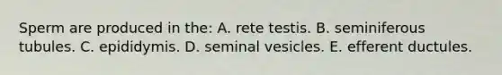 Sperm are produced in the: A. rete testis. B. seminiferous tubules. C. epididymis. D. seminal vesicles. E. efferent ductules.