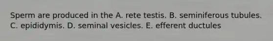 Sperm are produced in the A. rete testis. B. seminiferous tubules. C. epididymis. D. seminal vesicles. E. efferent ductules