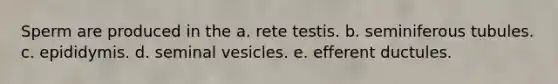 Sperm are produced in the a. rete testis. b. seminiferous tubules. c. epididymis. d. seminal vesicles. e. efferent ductules.