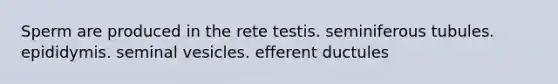 Sperm are produced in the rete testis. seminiferous tubules. epididymis. seminal vesicles. efferent ductules