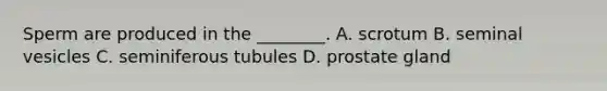 Sperm are produced in the ________. A. scrotum B. seminal vesicles C. seminiferous tubules D. prostate gland