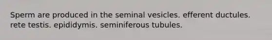 Sperm are produced in the seminal vesicles. efferent ductules. rete testis. epididymis. seminiferous tubules.