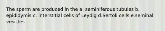 The sperm are produced in the a. seminiferous tubules b. epididymis c. interstitial cells of Leydig d.Sertoli cells e.seminal vesicles