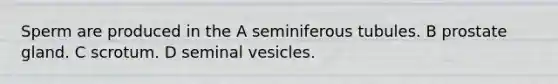 Sperm are produced in the A seminiferous tubules. B prostate gland. C scrotum. D seminal vesicles.