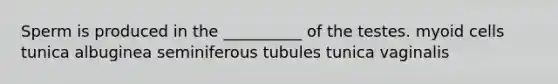 Sperm is produced in the __________ of the testes. myoid cells tunica albuginea seminiferous tubules tunica vaginalis