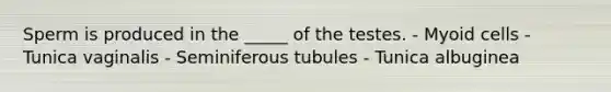 Sperm is produced in the _____ of the testes. - Myoid cells - Tunica vaginalis - Seminiferous tubules - Tunica albuginea