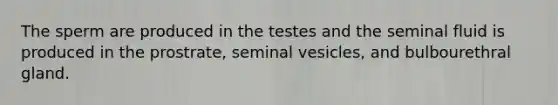 The sperm are produced in the testes and the seminal fluid is produced in the prostrate, seminal vesicles, and bulbourethral gland.