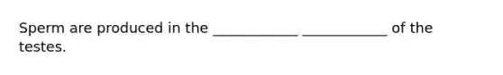 Sperm are produced in the ____________ ____________ of the testes.