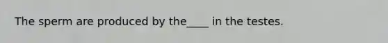 The sperm are produced by the____ in the testes.