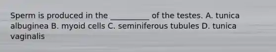 Sperm is produced in the __________ of the testes. A. tunica albuginea B. myoid cells C. seminiferous tubules D. tunica vaginalis