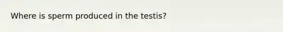 Where is sperm produced in the testis?