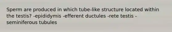 Sperm are produced in which tube-like structure located within the testis? -epididymis -efferent ductules -rete testis -seminiferous tubules