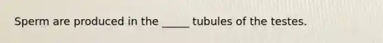 Sperm are produced in the _____ tubules of the testes.