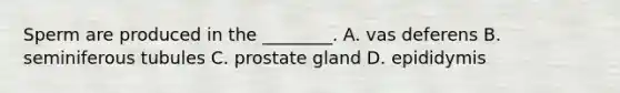 Sperm are produced in the ________. A. vas deferens B. seminiferous tubules C. prostate gland D. epididymis