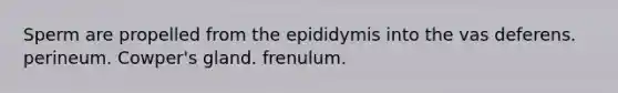 Sperm are propelled from the epididymis into the vas deferens. perineum. Cowper's gland. frenulum.