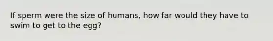 If sperm were the size of humans, how far would they have to swim to get to the egg?