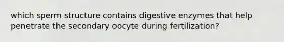 which sperm structure contains <a href='https://www.questionai.com/knowledge/kK14poSlmL-digestive-enzymes' class='anchor-knowledge'>digestive enzymes</a> that help penetrate the secondary oocyte during fertilization?