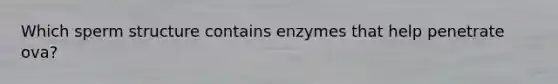 Which sperm structure contains enzymes that help penetrate ova?