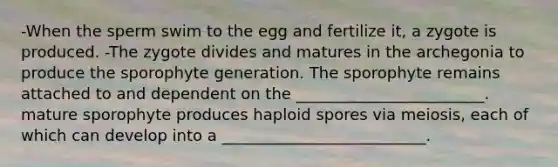 -When the sperm swim to the egg and fertilize it, a zygote is produced. -The zygote divides and matures in the archegonia to produce the sporophyte generation. The sporophyte remains attached to and dependent on the ________________________. mature sporophyte produces haploid spores via meiosis, each of which can develop into a __________________________.